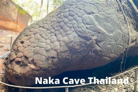 cave in thailand that looks like a snake|The Ultimate Guide To Naka Cave, Thailand: All You。